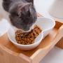 ikjuh Ceramic Cat Bowl with Wood Stand Pet Bowl Heart Shaped Easy Clean 15°Raised Spine Protection Skid Resistance