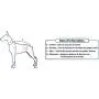 Red Dingo Reflective Dog Harness, Small, Red Red Dingo Reflective Dog Harness, Small, Red