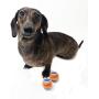Squeaky Mini Tennis Ball for Dogs 1.5''- Pack of 12
