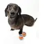 Squeaky Mini Tennis Ball for Dogs 1.5''- Pack of 12 Squeaky Mini Tennis Ball for Dogs 1.5''- Pack of 12