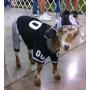 Dog Gone Cute by Lous Doggie Boutique 4 Piece Football Costume (Jersey, Pants, Helmet and Toy Ball)- Large
