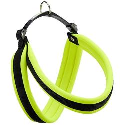 Ferplast Agila Fluo Number 5 Dog Harness, 50-58 cm, Green