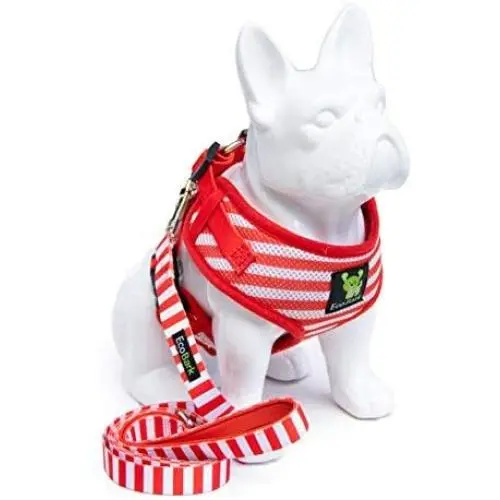 EcoBark Dog Harness and Matching Leash Combo Set; Easy to Put on Very Secure Soft Double Padded, Fully Adjustable Neck and Tummy for Small and Medium Dogs. EcoBark Dog Harness and Matching Leash Combo Set; Easy to Put on Very Secure Soft Double Padded, Fully Adjustable Neck and Tummy for Small and Medium Dogs.