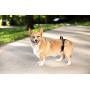 PetSafe PetSafe CareLift Rear Support Harness - Lifting aid with Handle and Shoulder Strap - Great for pet Mobility and Older Dogs - Comfortable, Breathable Material - Easy to Adjust - Large