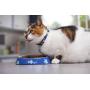 Rogz Catz Bowlz Fishcake Cat Bowl, 200ml