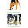“N/A” Pet Toy Ball, Bite Resistant Molar Stick, Toothbrush Can be Used for Dogs