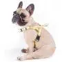 iChoue Dog Harness Easy On and Off Front Back 2 Leash Attachments Adjustable Lightweight Harness for Small and Medium Dogs