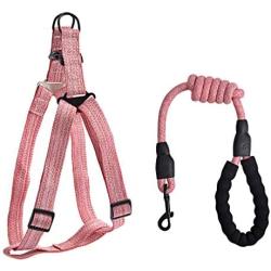 Step-in Dog Harness and Leash,Easy Walking No Pull Pet Vest Harnesses with Handle,Adjustable Buckle Heavy Duty Dogs Halter Lead Set for Puppy,Small,Medium Dogs,Large Breed,Outdoor Training,Pink S