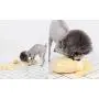 Dingdongpet Dog Snuffle Mat Pet Nosework Toy Sniffing Training Pad Feeding Mat for Dog Release Stress Dingdongpet Dog Snuffle Mat Pet Nosework Toy Sniffing Training Pad Feeding Mat for Dog Release Stress