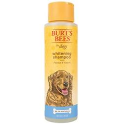 Burts Bees for Dogs Natural Whitening Shampoo with Papaya and Yogurt | Puppy and Dog Shampoo, 16 Ounces