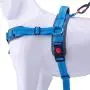AdventureMore No Pull Choke Free Dog Halter Harness Leash Set - Dog Harness with Handle & 5 ft Double-Handle Shock Absorbing Bungee Training Leash AdventureMore No Pull Choke Free Dog Halter Harness Leash Set - Dog Harness with Handle & 5 ft Double-Handle Shock Absorbing Bungee Training Leash