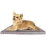 Large Dog Bed Soft Foam Pet Beds 23/31/39/47 inches Washable Anti-Slip Crate Mat Mattress Kennel Pad with Thick Removable Cover