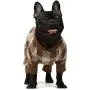 Fitwarm 100% Cotton Buffalo Plaid Dog Clothes Puppy Pajamas Pet Apparel Cat Onesies Jammies Doggie Jumpsuits Fitwarm 100% Cotton Buffalo Plaid Dog Clothes Puppy Pajamas Pet Apparel Cat Onesies Jammies Doggie Jumpsuits
