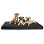 Dog Gone Smart Pet Products Repelz-It Ninja Bed