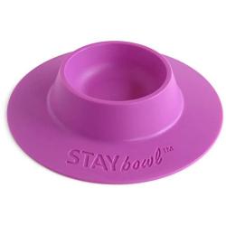 STAYbowl Tip-Proof Ergonomic Pet Bowl for Guinea Pig and Other Small Pets, 1/4-Cup Small Size, Lilac (Purple)