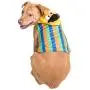 Pet Krewe Bert Costume - Sesame Street Bert Dog Costume - Fits Small, Medium, Large and Extra Large Pets - Perfect for Halloween, Parties, Photoshoots, Gifts for Dog Lovers Pet Krewe Bert Costume - Sesame Street Bert Dog Costume - Fits Small, Medium, Large and Extra Large Pets - Perfect for Halloween, Parties, Photoshoots, Gifts for Dog Lovers