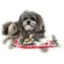 Christmas Stocking for Dogs. Pack of Squeaky newspaper toy, squeaky boot toy, a red, green and white tennis ball and a red, white and green cotton knotted rope. Christmas Stocking for Dogs. Pack of Squeaky newspaper toy, squeaky boot toy, a red, green and white tennis ball and a red, white and green cotton knotted rope.