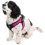 Gooby Dog Harness - Escape Free Easy Fit Patented Step-in Small Dog Harness - Perfect on The Go - No Pull Harness for Small Dogs or Cat Harness for Indoor and Outdoor Use
