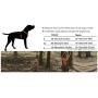 SGODA Dog Cooling Harness Cooler Exploring Vest