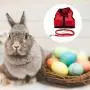 JETTINGBUY 3 Set Rabbit Harness Leash Adjustable Soft Breathable Mesh Small Pet Harness Running Walking Jogging Harness Leash for Small Animals (M) JETTINGBUY 3 Set Rabbit Harness Leash Adjustable Soft Breathable Mesh Small Pet Harness Running Walking Jogging Harness Leash for Small Animals (M)
