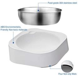 Cat Dog Food Bowls:Slanted Cat Bowls for Food and Water,Stainless Steel Dog Bowl with Heavy Stand for Cats and Small Dogs,Non-Slip Non-Spill and Easier to Reach Food