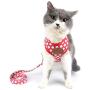SMALLLEE_Lucky_Store New Soft Mesh Nylon Vest Pet Cat Small Medium Dog Harness Dog Leash Set