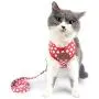 SMALLLEE_Lucky_Store New Soft Mesh Nylon Vest Pet Cat Small Medium Dog Harness Dog Leash Set SMALLLEE_Lucky_Store New Soft Mesh Nylon Vest Pet Cat Small Medium Dog Harness Dog Leash Set