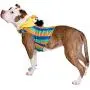 Pet Krewe Bert Costume - Sesame Street Bert Dog Costume - Fits Small, Medium, Large and Extra Large Pets - Perfect for Halloween, Parties, Photoshoots, Gifts for Dog Lovers Pet Krewe Bert Costume - Sesame Street Bert Dog Costume - Fits Small, Medium, Large and Extra Large Pets - Perfect for Halloween, Parties, Photoshoots, Gifts for Dog Lovers