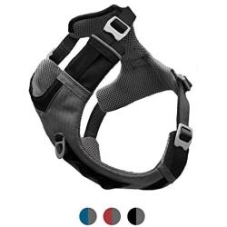 Kurgo Dog Harness for Large, Medium & Small Dogs