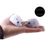 ASFC Wireless Remote Control Mouse Toy, Cheese Infrared Remote Control Simulated, Scary Friends Toys,Cats Toy (Dark Grey)