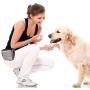 No/Brand Dog Treat Training Bag for Small to Large Dogs,–Easily Portable Carries Dog Toys,Built Best Hiking Toys Pack Dispenser Waist Belt, Shoulder Strap, Poop Bag Dispense