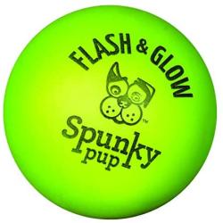 Flash and Glow Jr. Flashing Glowing Dog Ball, Small