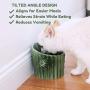 PetnPurr Cactus Cat Scratcher, Cactus Pet Condo and Ceramic Raised Food Bowl
