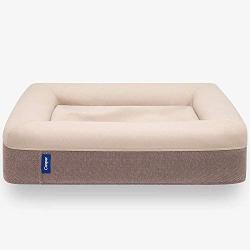 Casper Dog Bed, Plush Memory Foam