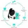 Dog Chew Toys Toothbrush Interactive Toy for Dogs Training IQ Teeth Cleaning Durable Small Medium Large Dog Puppy Chewing,Yellow
