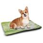 Green and White Patterned Pet Pad Damask Inspired Victorian Retro Revival Motifs Rococo Swirls Classic Bite-Resistant Pet Mat Pale Green White