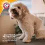 Arm & Hammer for Pets Male Dog Wraps, Size Medium, 12 Count | Ultra-Abosorbent, Adjustable Male Dog Diapers with Leak-Proof Protection and Wetness Indicator (FF13879)