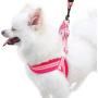 Wealer Dog Harness Leash Set for Small and Medium Dogs Adjustable Soft Training Handle All Weather Mesh Pet Harness