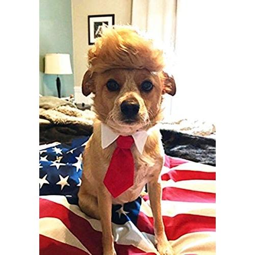 Pet Costume Dog Wig, Dog Clothes with Collar & Tie Head Wear Apparel Toy for Halloween, Christmas, Parties, Festivals