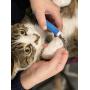 Scamper Pets Dog Nail Clippers and Trimmer, Nail Clipper for Dogs,Cat Nail Trimmer with Pet Safety Lock for Small, Medium and Large Pets Grooming, Home Grooming