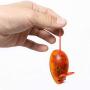 LFOZ Pet Electric Mice Toys Cat Toys False Mouse Novelty Cat Funny Playing Mouse Toys for Cats Kitten Random Color (Color : Random Color)