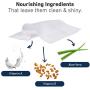 International Veterinary Sciences IVS Quick Bath Pet Towelettes, Removes Odor, Extra Thick and Heavy Duty, Made in The USA
