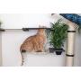 CatastrophiCreations Mini Garden - Multiple Level Cat Hammock and Climbing Activity Center - Wall-Mounted Cat Tree Shelves