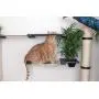 CatastrophiCreations Mini Garden - Multiple Level Cat Hammock and Climbing Activity Center - Wall-Mounted Cat Tree Shelves CatastrophiCreations Mini Garden - Multiple Level Cat Hammock and Climbing Activity Center - Wall-Mounted Cat Tree Shelves