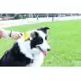 YujueShop Dog Brush pet cat Automatic Push Hair Comb Push Type Telescopic Needle Comb Easy to Remove Removal Hair self Cleaning Slicker Brush YujueShop Dog Brush pet cat Automatic Push Hair Comb Push Type Telescopic Needle Comb Easy to Remove Removal Hair self Cleaning Slicker Brush