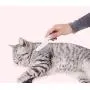 Pet Comb for Dog/Cat/Small Pets… Pet Comb for Dog/Cat/Small Pets…
