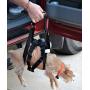 Travelin K9 Medium Dog Lift Harness - Dog Support Harness - Dog Stair Lift - Dog Car Lift. For Disabled Dogs, Elderly Dogs, Injured Dogs, to support dogs back legs and as a Dog Rehabilitation Harness