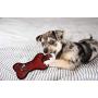 Pets First NFL Tampa Bay Buccaneers Football Dental Tough Dog TUG Bone Toy with Built-in Squeaker Attached to a Safe Rubber Teething Toothbrush PET Toy, Team Color, 14 x 5 (TBB-3310)