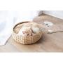 PetPals Hand Made Paper Rope Round Bed for Cat/Dog/Pet Sleep with Pillow, Natural