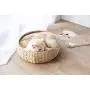 PetPals Hand Made Paper Rope Round Bed for Cat/Dog/Pet Sleep with Pillow, Natural